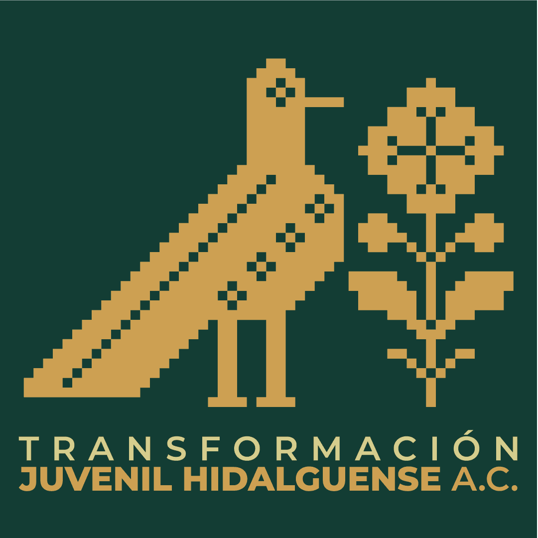 Transformación Juvenil